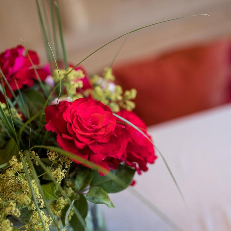 Hotel Finkennest - Panoramic Garden Resort - Suite - 8