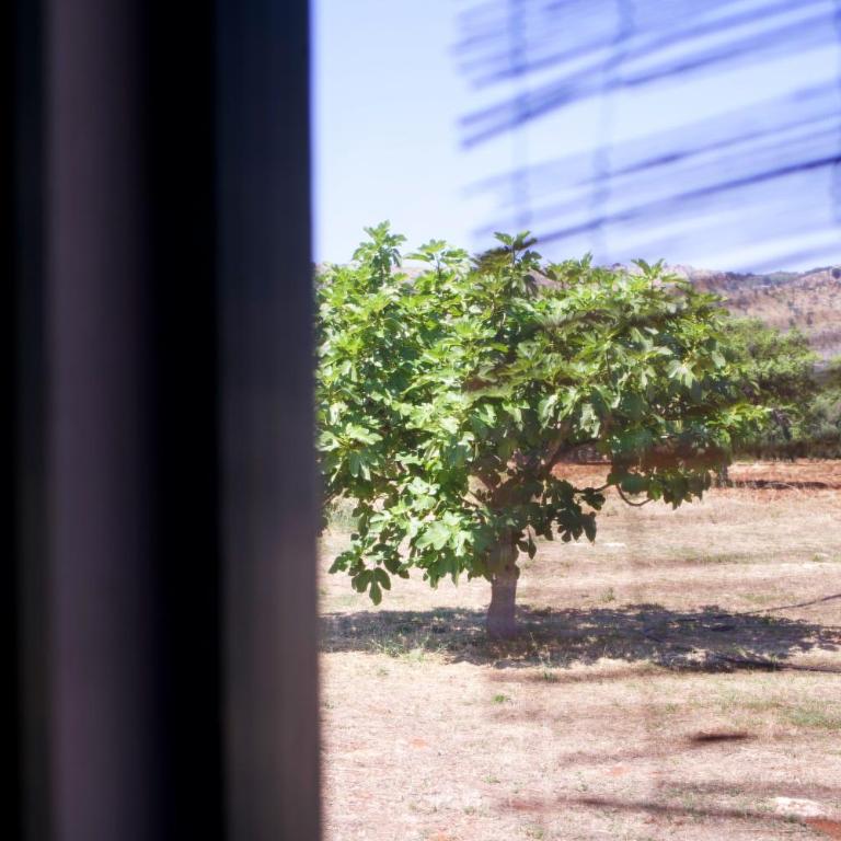 Minicasa nella natura, con piscina a due passi - Casa Vacanze - 33