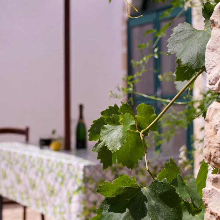 Minicasa nella natura, con piscina a due passi - Casa Vacanze - 39