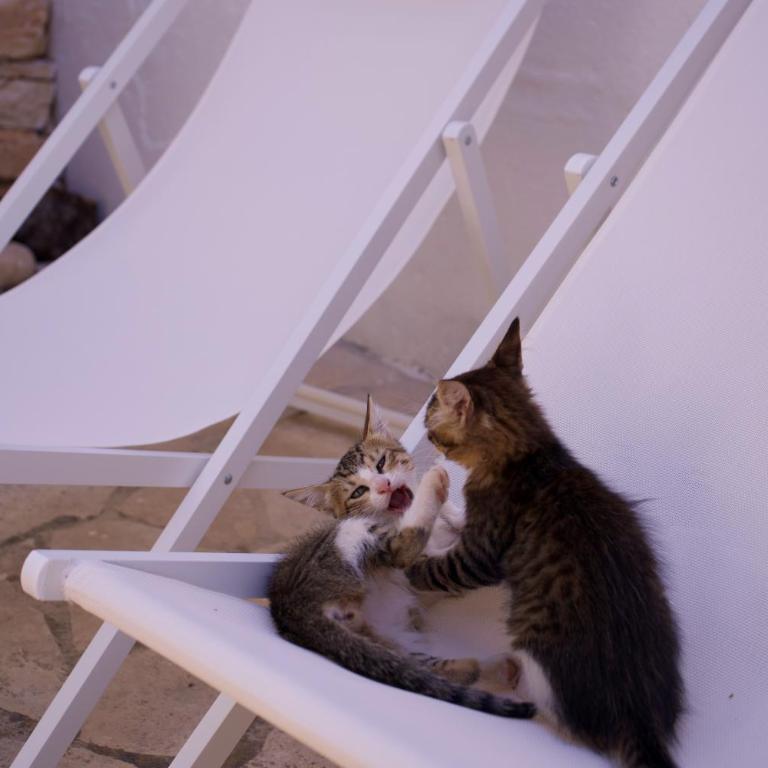 Minicasa nella natura, con piscina a due passi - Casa Vacanze - 45