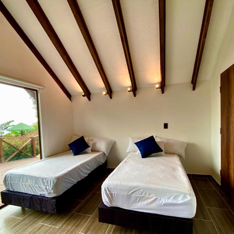 Finca Agroturistica Descubre tu Regalo - Chalet de 1 dormitorio - 5