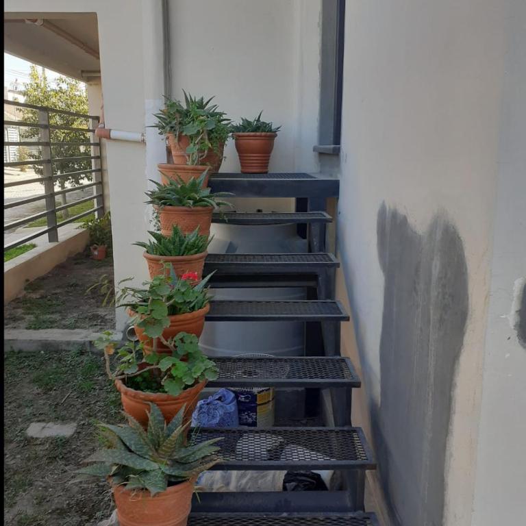Lo de Cheo - Apartamento de 1 dormitorio - 19