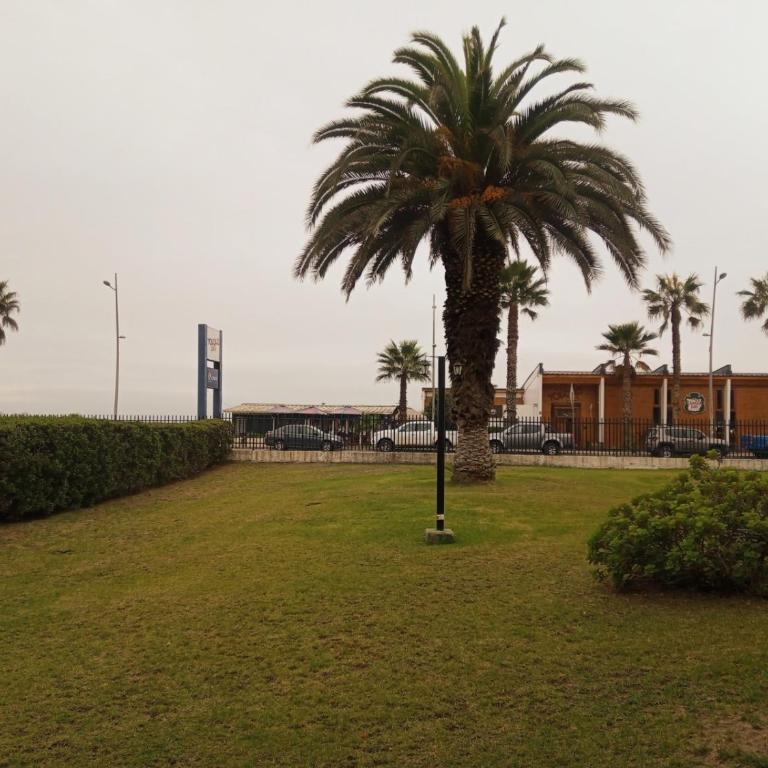 Primer piso frente al mar acceso directo jardines - Apartamento de 3 dormitorios - 35