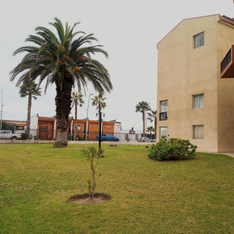 Primer piso frente al mar acceso directo jardines - Apartamento de 3 dormitorios - 36