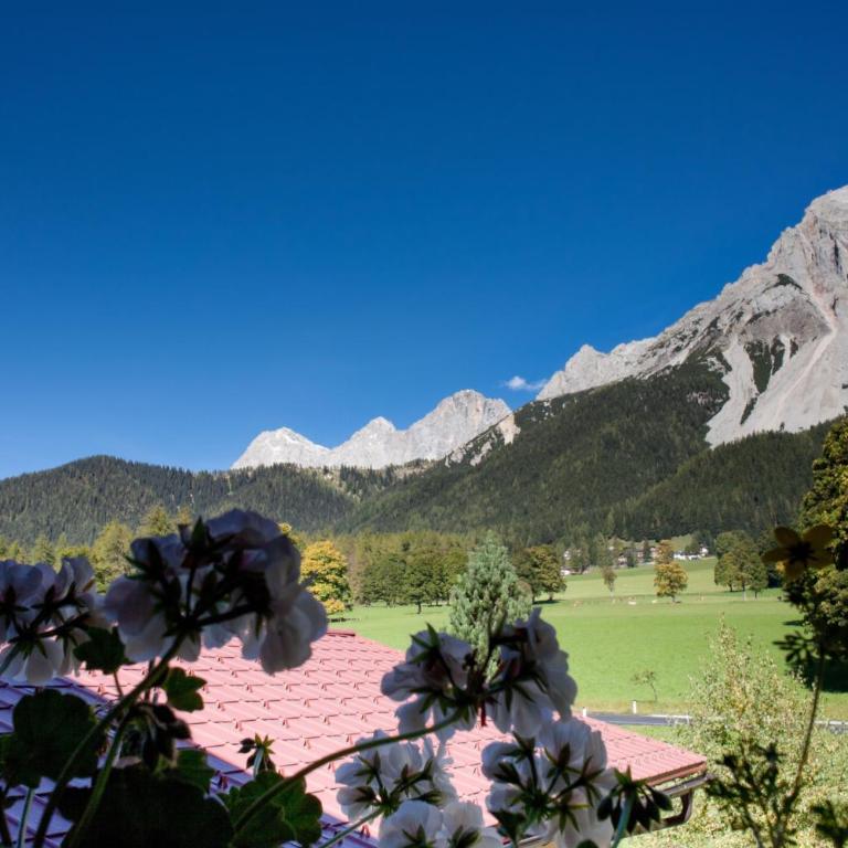 Ferienwohnung Alpenecho - Appartamento con Vista Montagna - 19