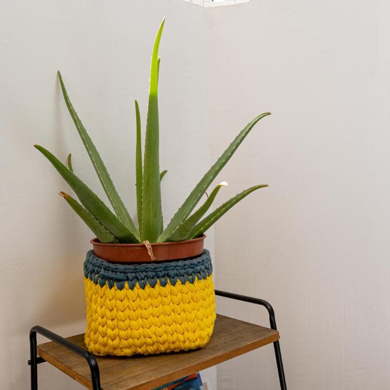 YOLO House - Corralejo - Apartamento - 9