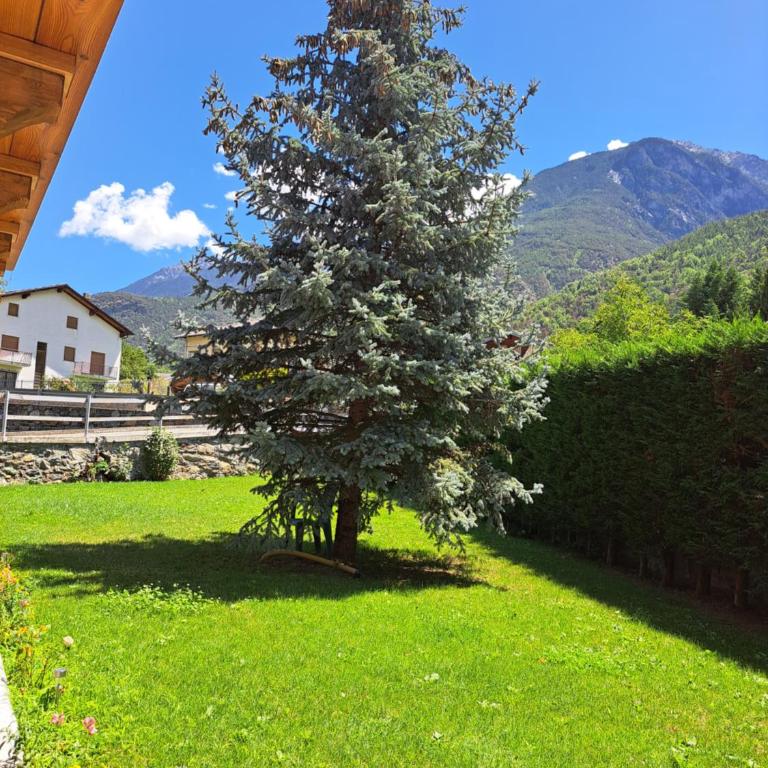 La maison de Chantal - Appartamento - 12