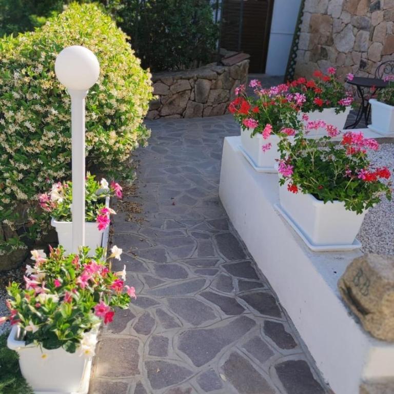 casa l'Ulivariu affittacamere - Camera Deluxe Matrimoniale con Vista Mare - 11