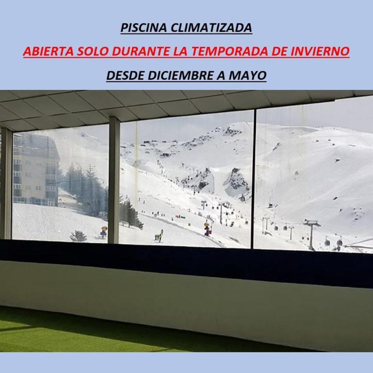 TODOSIERRANEVADA ZONA BAJA - EDIFICIO ALHAMBRA - Junto a los Telecabinas - Apartamento Estándar - 14