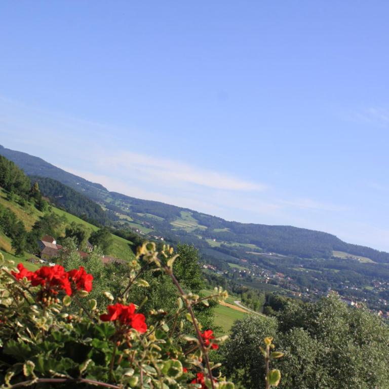 Pension Waldhof am Stubenbergsee - Budget Doppelzimmer - 24