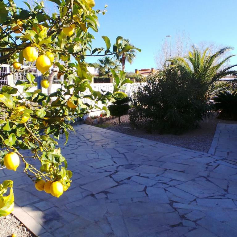 Riumar "La Siesta", 330m to beach, private pool, On-Site-Service, dog beach - Casa de 3 dormitorios - 10