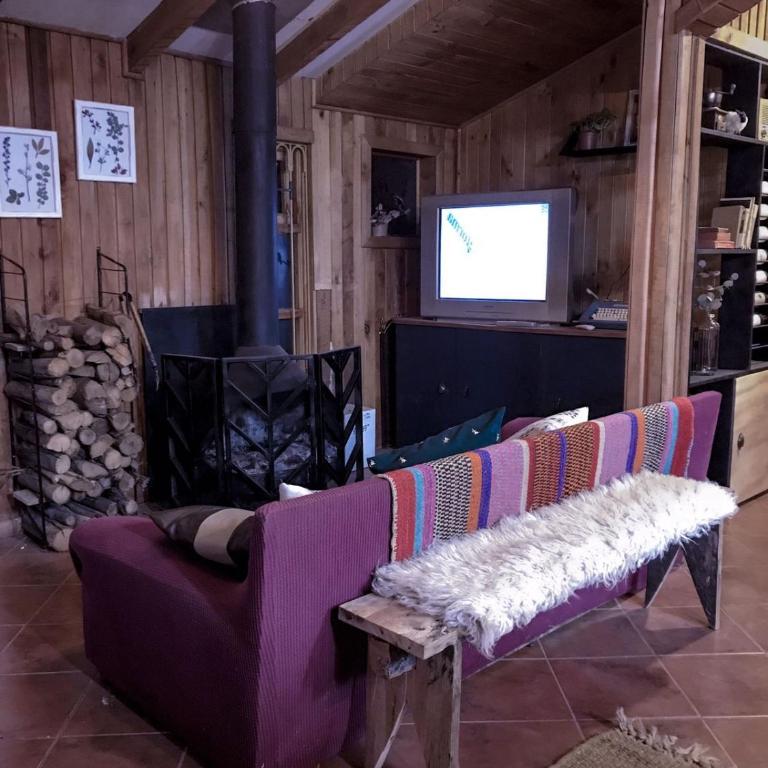 Cabaña en el bosque-Termas de Chillán - Casa de 2 dormitorios - 45