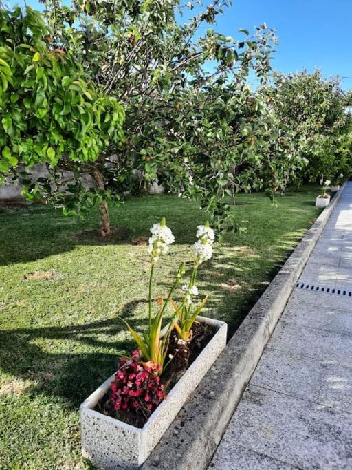 Ático en O Grove con jardín (Rias Baixas) - Apartamento de 3 dormitorios - 20