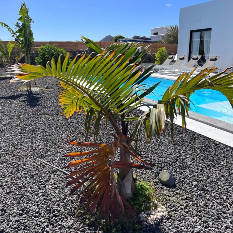 Villa Valentina, Piscine chauffée et Sérénité - Villa de 3 dormitorios - 31