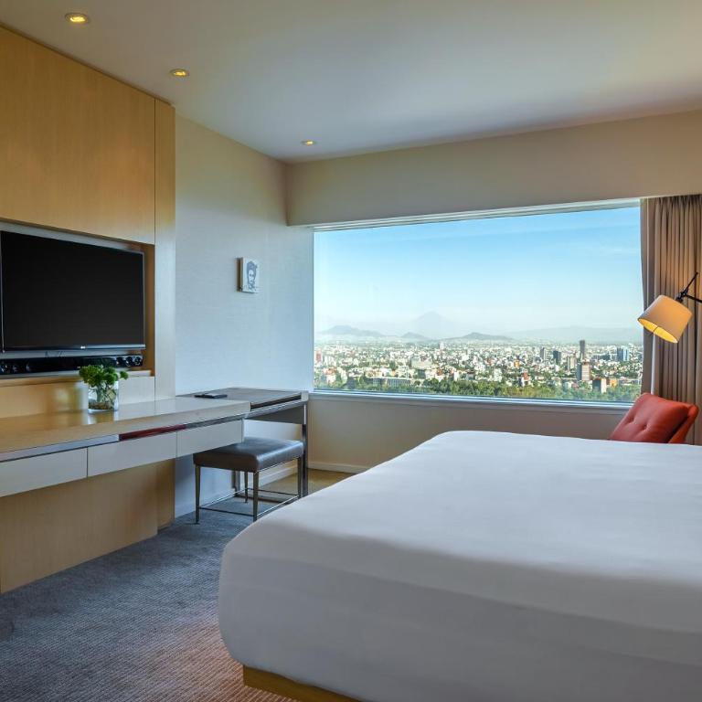 Hyatt Regency Mexico City - Suite con cama extragrande - 3
