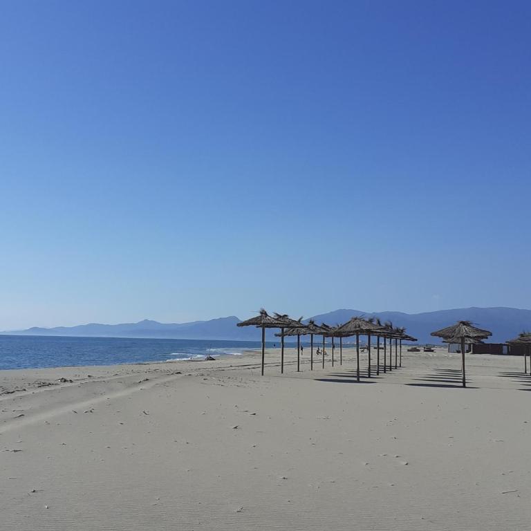 Cosy Appartement Clim, Jardin et parking Canet Sud - One-Bedroom Apartment - 28