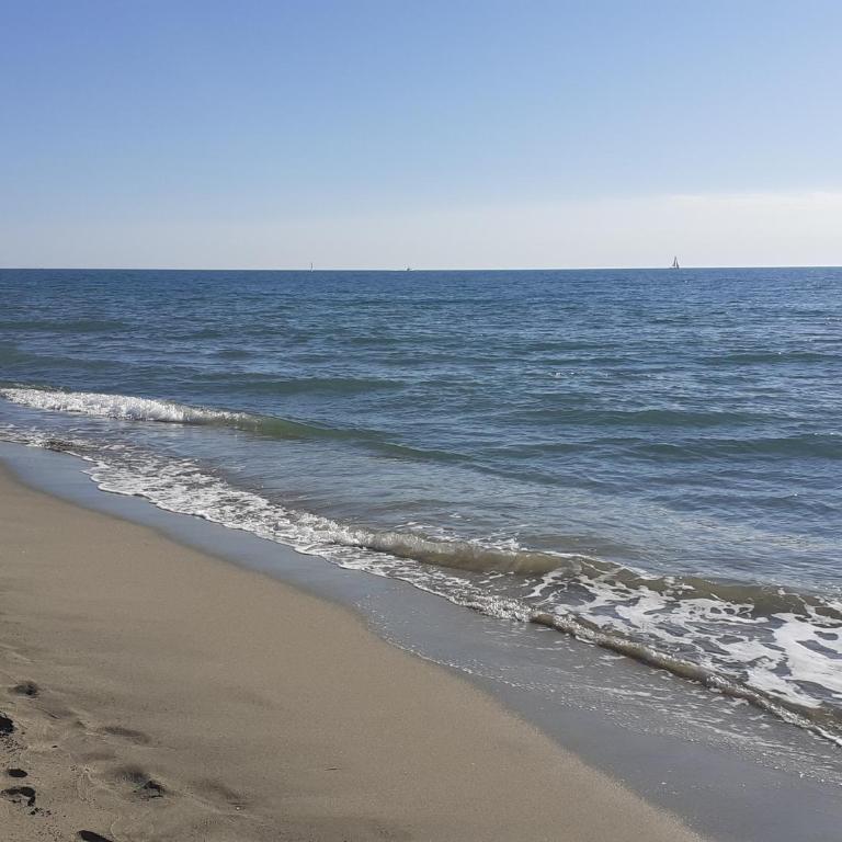 Cosy Appartement Clim, Jardin et parking Canet Sud - One-Bedroom Apartment - 29