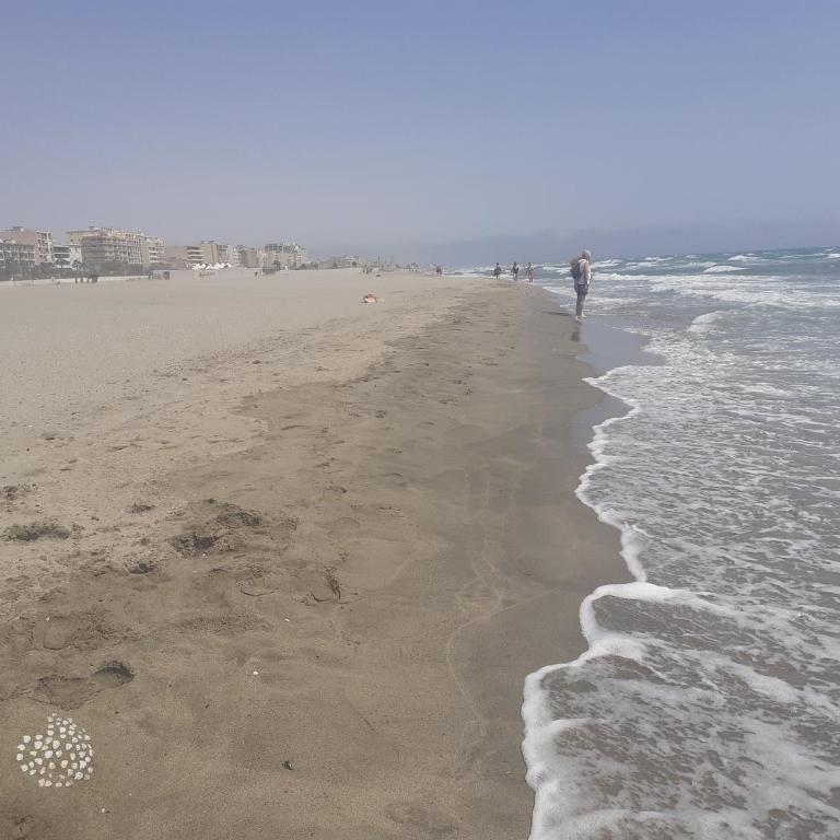 Cosy Appartement Clim, Jardin et parking Canet Sud - One-Bedroom Apartment - 32