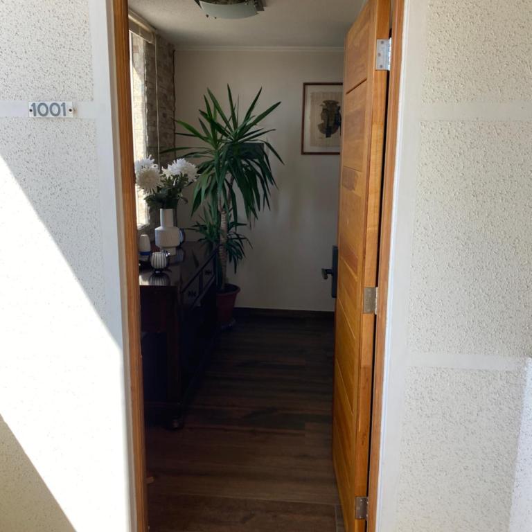 Dpto 1er nivel en La Serena - Apartamento - 5