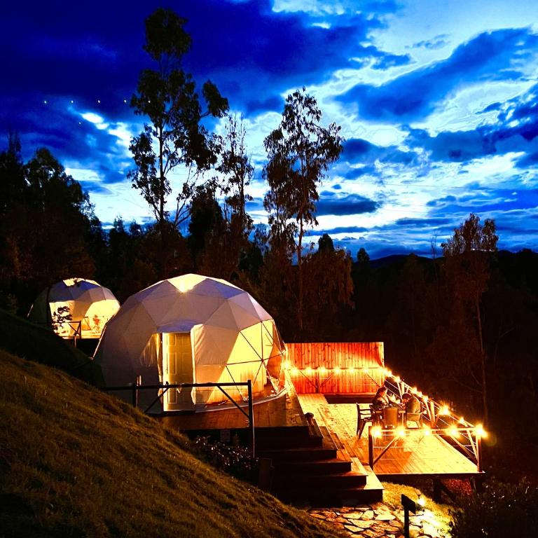 Golden Glamping - Habitación con cama extragrande. - 5