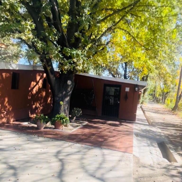 Casa rural Allegra - Casa de 4 dormitorios - 13