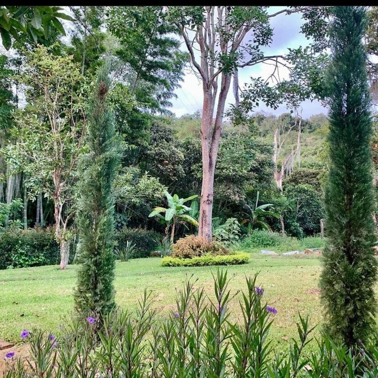 Altagracia - Casa de 6 dormitorios - 8