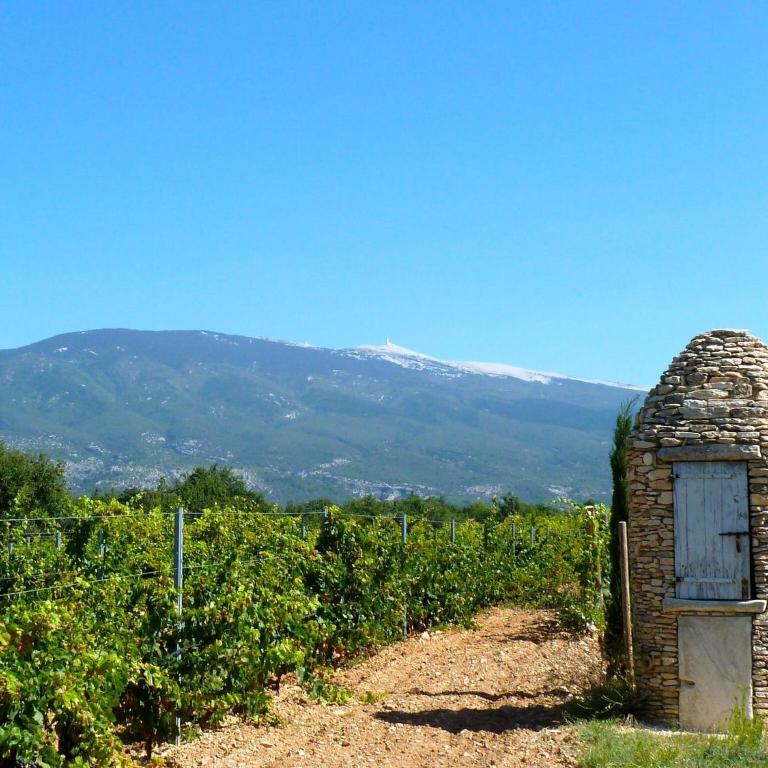 Chalet by Mont Ventoux with Stunning Views - Maison de Vacances 1 Chambre - 19