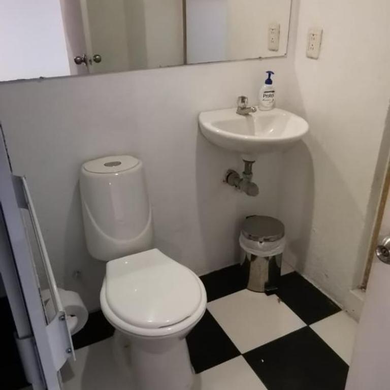 Parrot House San Antonio - Apartamento Superior - 6