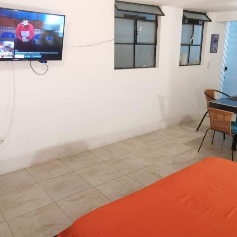 Parrot House San Antonio - Apartamento - Planta baja - 7