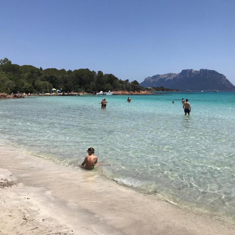 Olbia House - Appartamento con 1 Camera da Letto - 39