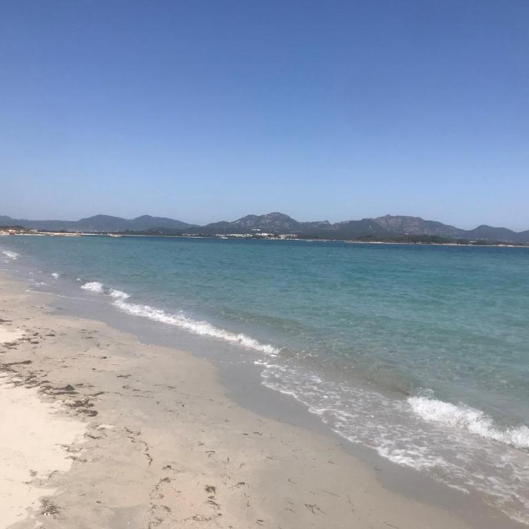 Olbia House - Appartamento con 1 Camera da Letto - 38