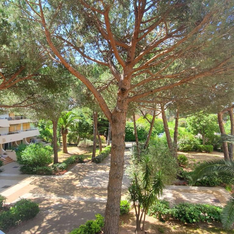 MIOUGRANO Studio 25m2 Piscine 300m Plage - Studio avec Balcon - 7