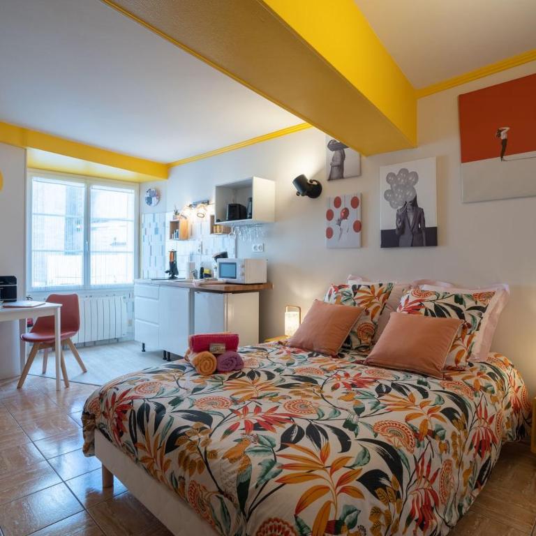 SUPERLOGIS BLOIS-LE PITAYA- HYPERCENTRE STUDIO- Classé 3Etoiles - Superior Studio - 33
