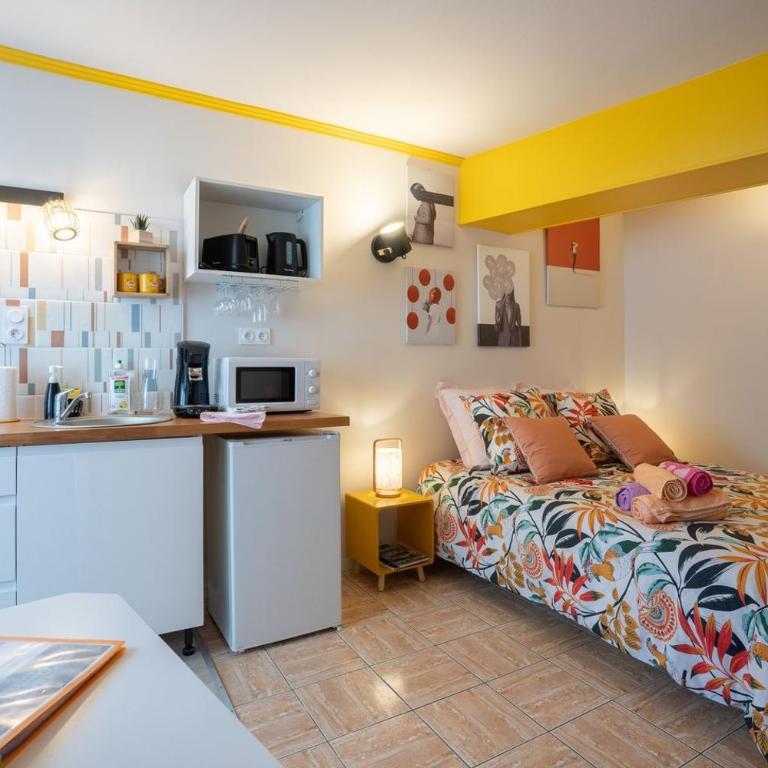 SUPERLOGIS BLOIS-LE PITAYA- HYPERCENTRE STUDIO- Classé 3Etoiles - Superior Studio - 36
