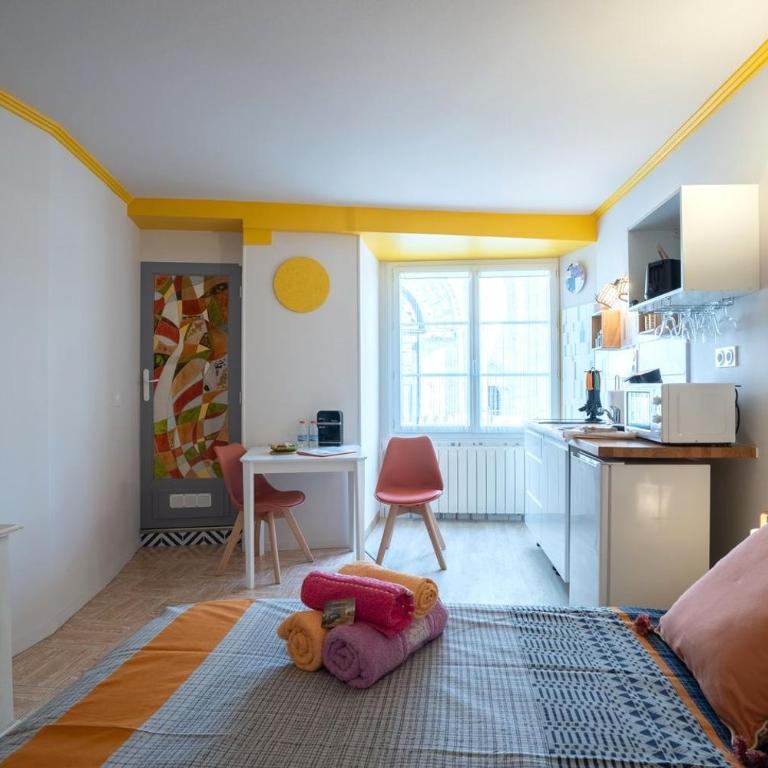 SUPERLOGIS BLOIS-LE PITAYA- HYPERCENTRE STUDIO- Classé 3Etoiles - Superior Studio - 30