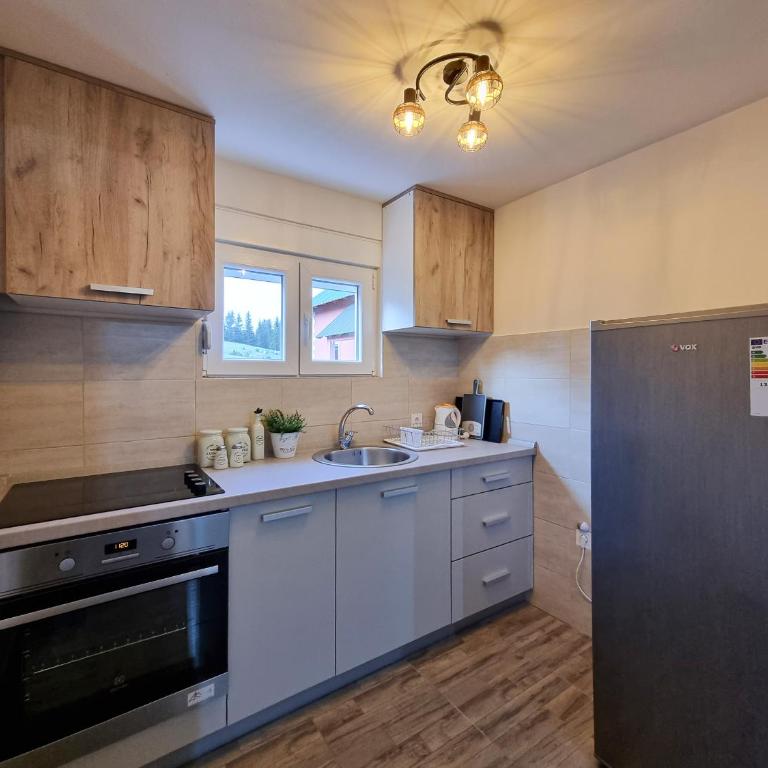 Apartmani Gala Žabljak - Apartman sa 1 Spavaćom Sobom - 6