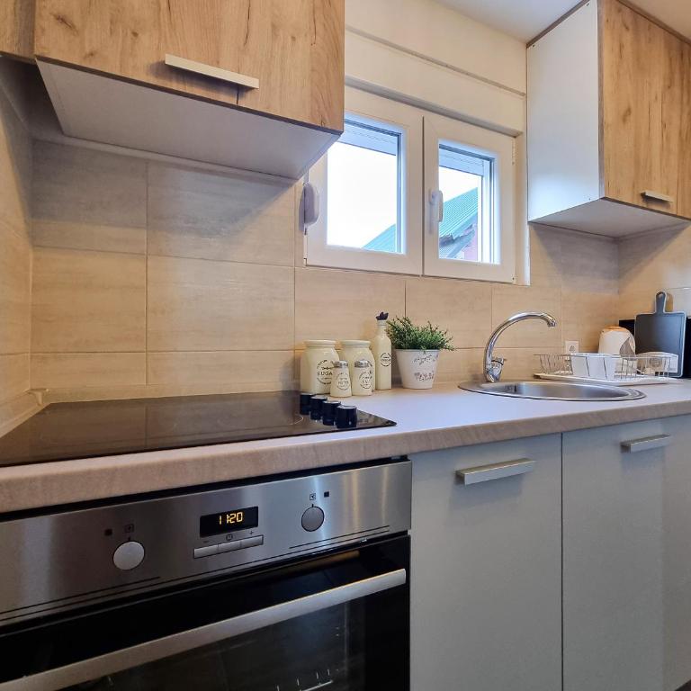 Apartmani Gala Žabljak - One-Bedroom Apartment - 10