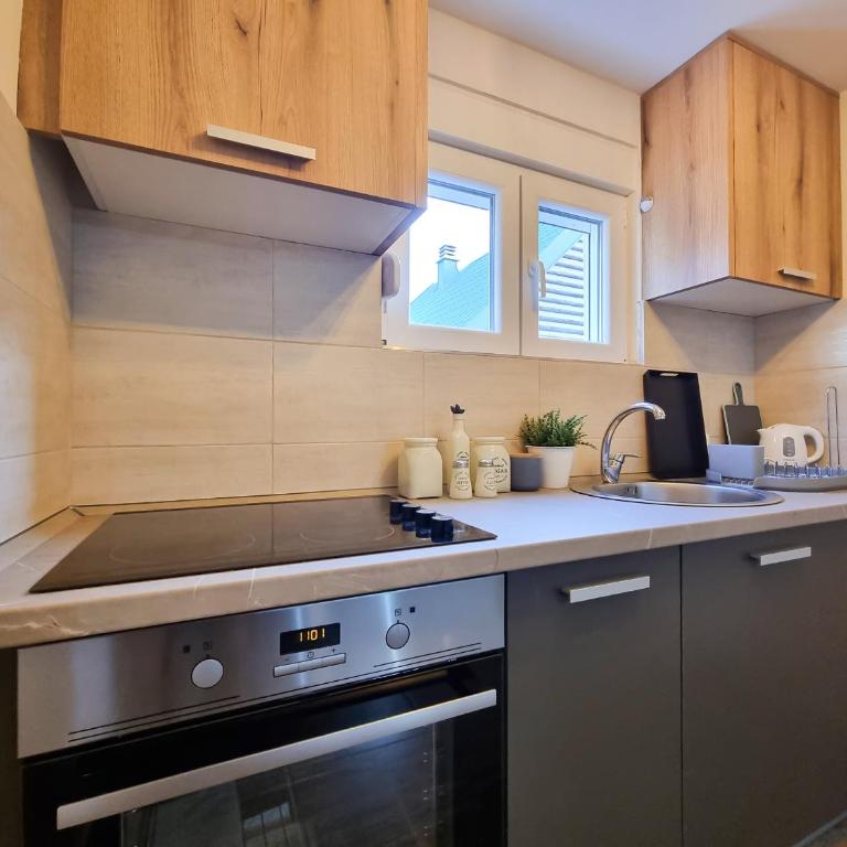Apartmani Gala Žabljak - One-Bedroom Apartment - 11