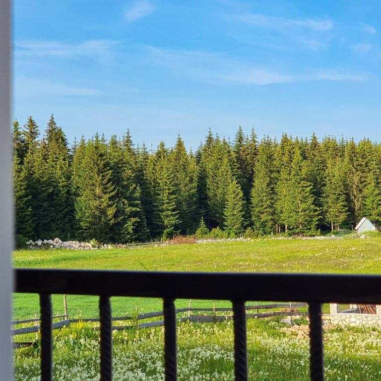 Apartmani Gala Žabljak - One-Bedroom Apartment - 12