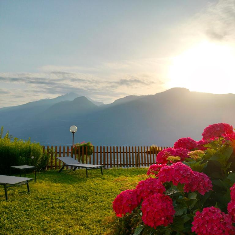 Georgenhöhe - Appartamento con Vista Montagna - 18