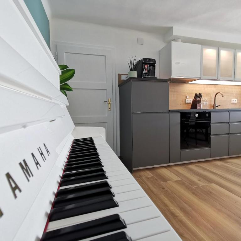 Neues City Center Piano Appartement mit Netflix - Apartment - 2