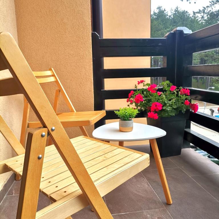 Zlatibor BANEL - Apartman - 2