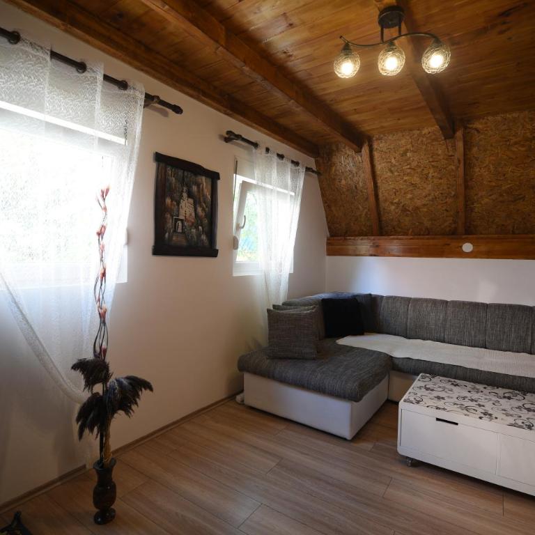 Cabarkapa Guesthouse - Penthaus Apartman - 12