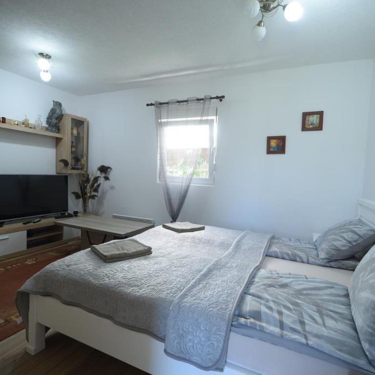 Cabarkapa Guesthouse - Studio Apartment - 1