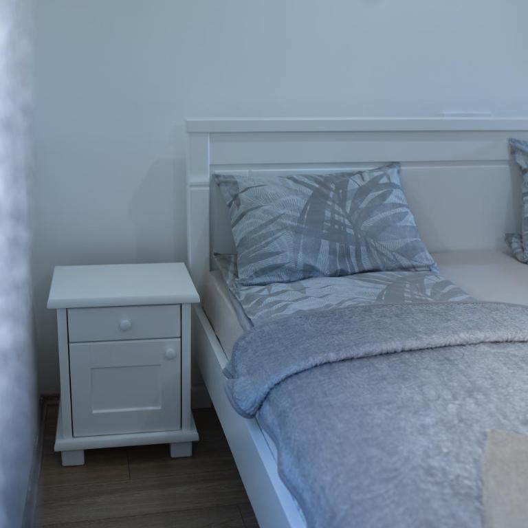 Cabarkapa Guesthouse - Studio Apartment - 10