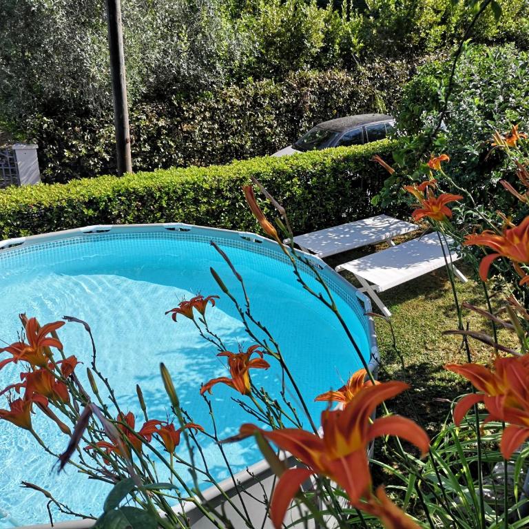 Casa Anna a Pietrasanta in Toscana con piscina - Ferienhaus - 5