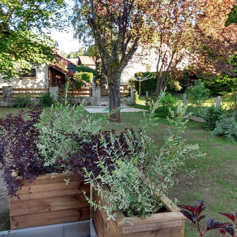 Gîte les Eglantines Rez-de-Jardin - Appartement - Rez-de-Chaussée - 37
