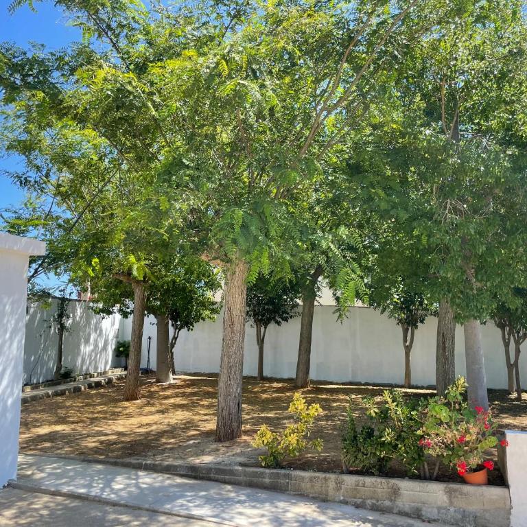 Chalet en Conil, descansa y disfruta BBQ AIRE PISCINA PARKING - Casa de 3 dormitorios - 21