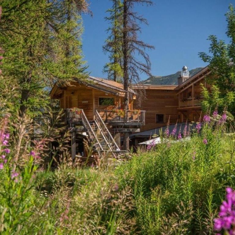 Hotel & Restaurant Les Escondus - Cabane dans les Arbres - 5