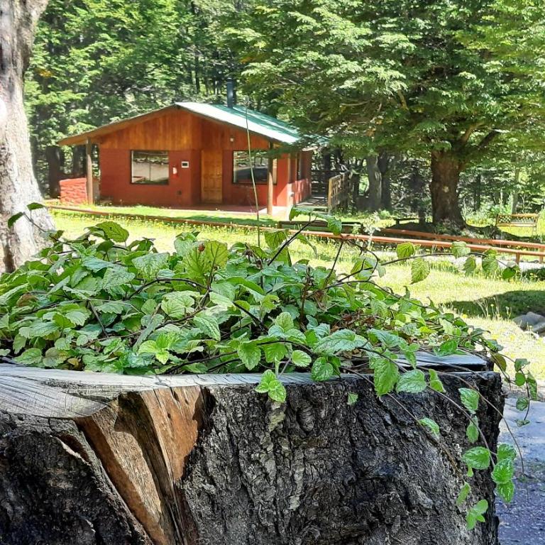 Cabañas Rápidos del Río Baker - Two-Bedroom Bungalow - 3